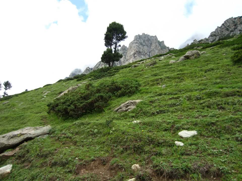 whatsapp image 2026 01 16 at 14.51.11 (2)