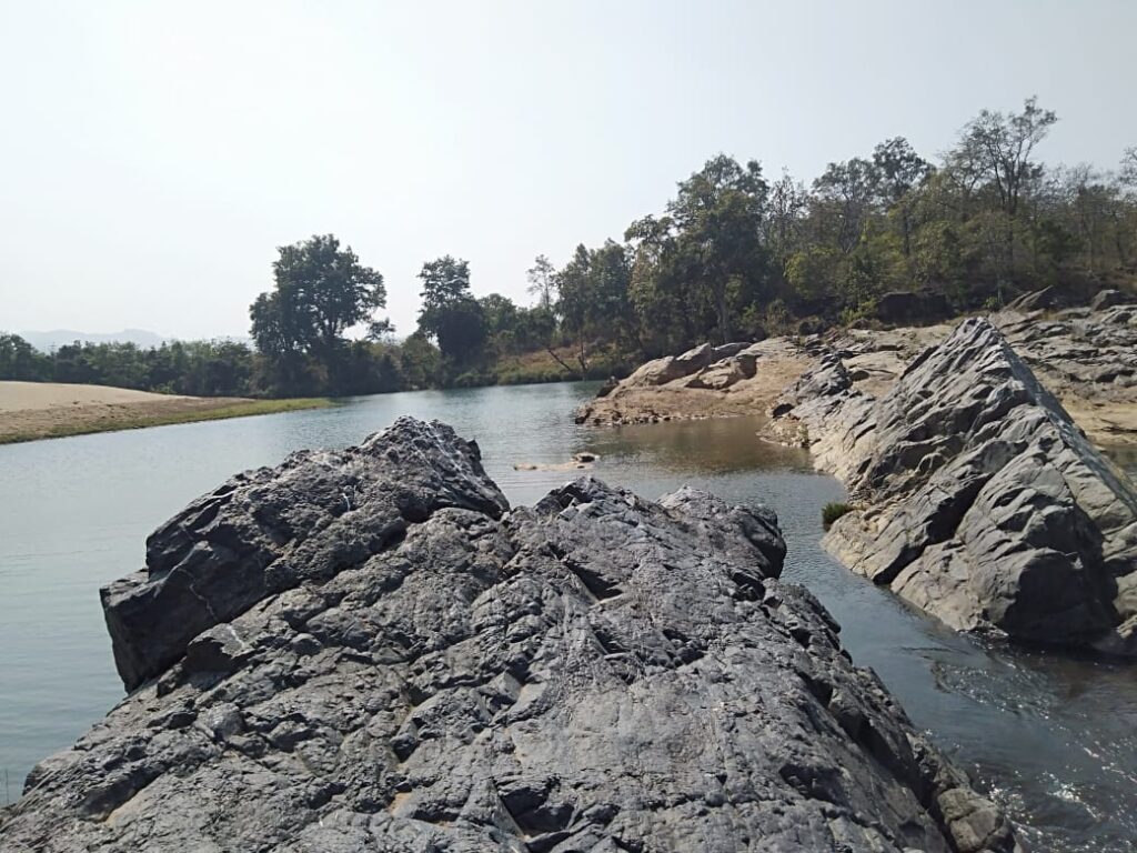 whatsapp image 2026 01 16 at 15.01.09 (1)