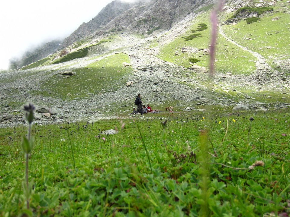 491970027 9246472078784716 458618196680712088 n