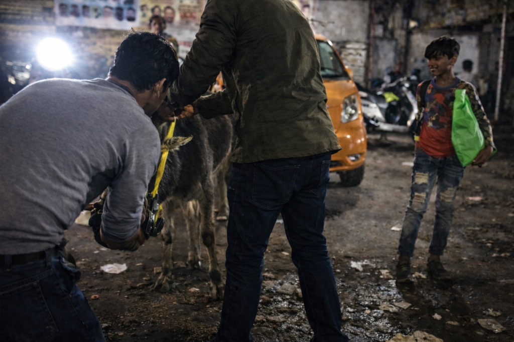 chatgpt image mar 23, 2026, 12 29 24 pm