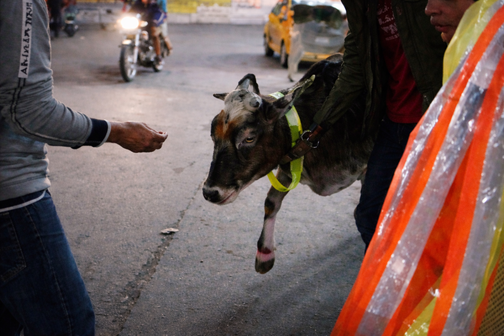 chatgpt image mar 23, 2026, 12 30 09 pm