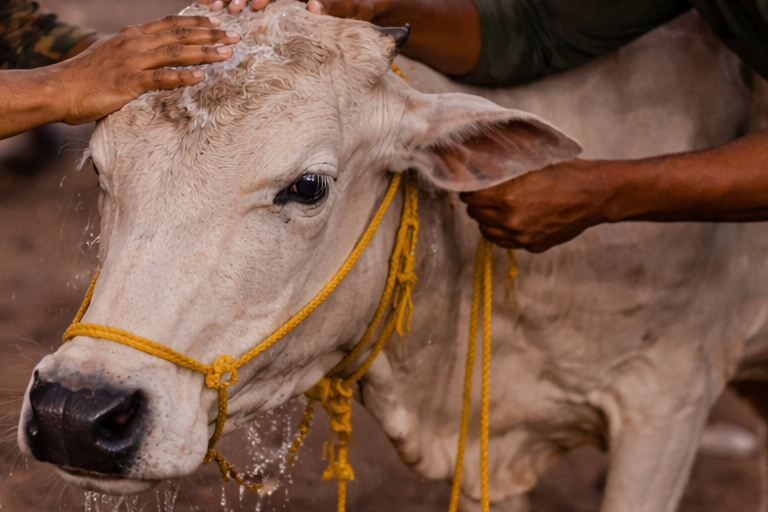 chatgpt image mar 23, 2026, 12 42 10 pm