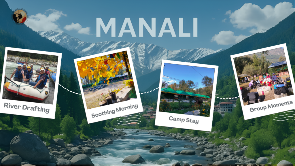 website (2)